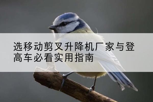 城关电动升降机厂家-选移动剪叉升降机厂家与登高车必看实用指南