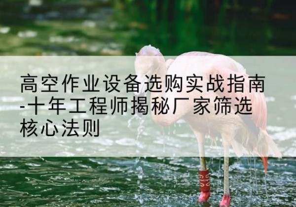 城关剪叉式升降机厂家-高空作业设备选购实战指南-十年工程师揭秘厂家筛选核心法则